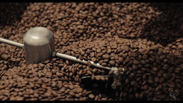 café en grains de Colombie